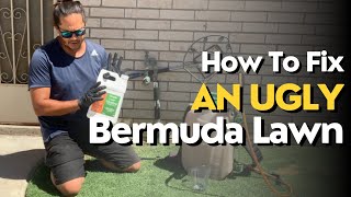 How To Fix My Ugly Bermuda Lawn | 2024