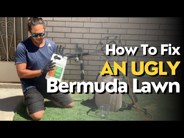 【U LAN】Byte Damage Dying Bermuda Training How To Fix My Ugly Bermuda Lawn | 2024 - YouTube
