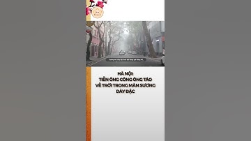 Hà Nội: Tiễn ông Công ông Táo về trời trong màn sương dày #bchannel