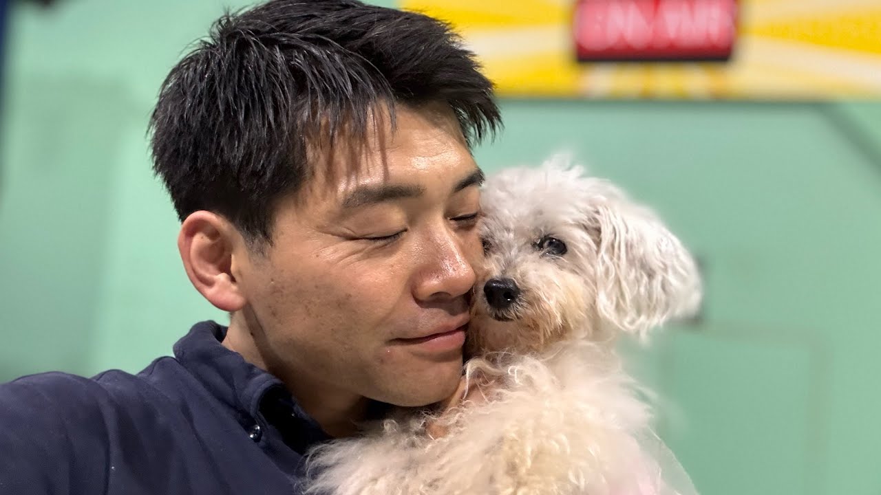 認知症になって飼い主を忘れたトイプードルの現在の様子です