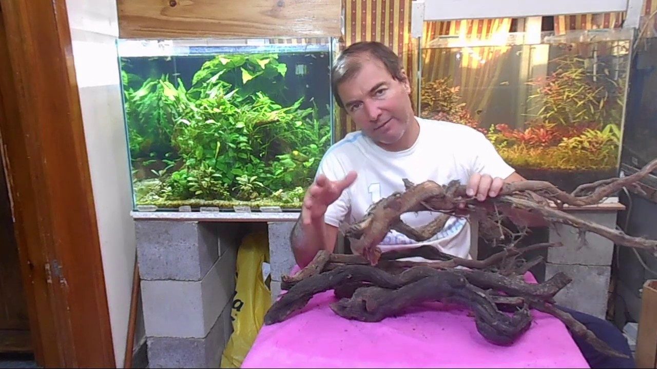 Como curar y utilizar troncos