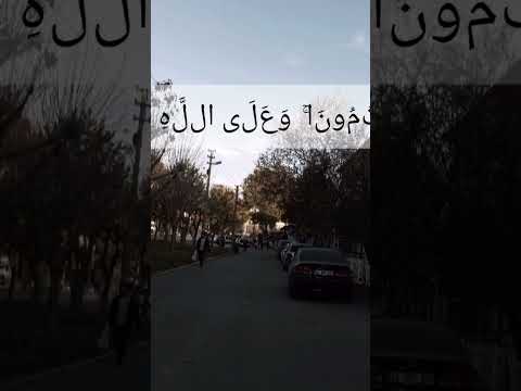 رب لا تذرني فردا وانت خير الوارثين اللهم صل اكسبلور المصحف 