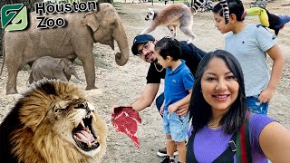 KORI HABLA CON LOS ANIMALES | DE PASEO EN EL ZOOLOGICO | Family Juega