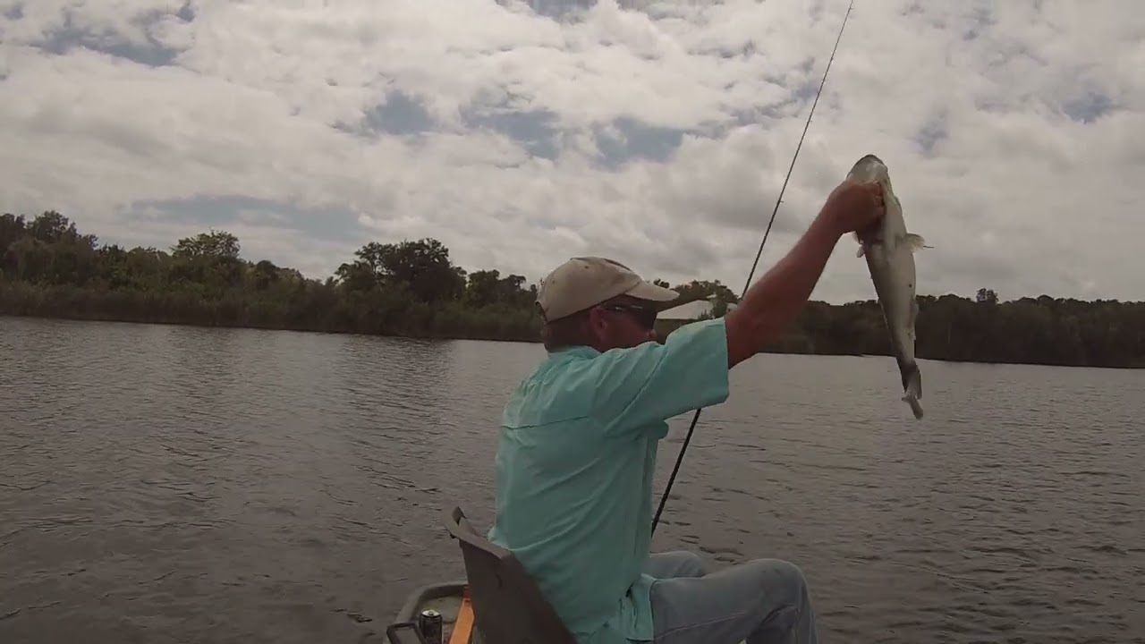 fall bass fishing 2022