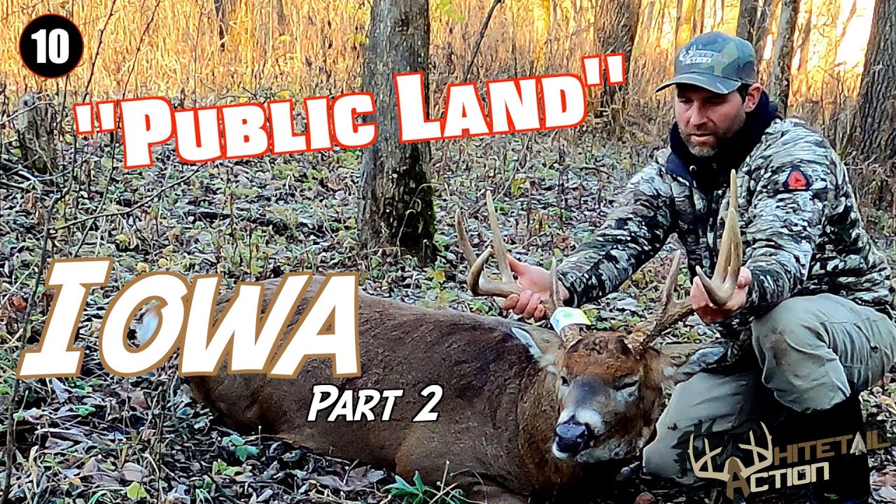 Whitetail Action-"MATURE PUBLIC LAND IOWA BUCK" PART 2-Ep.10
