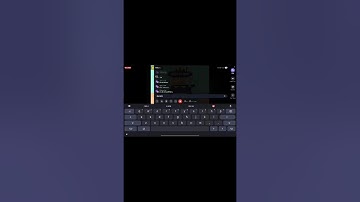 Hide & Seek: Cat Escape Live