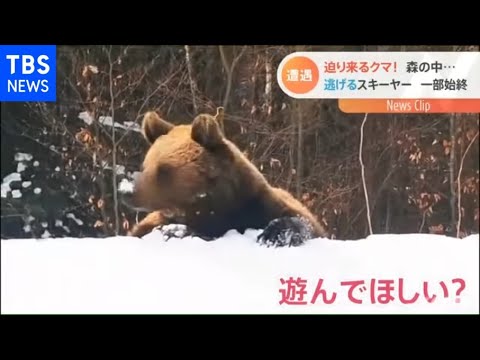 雪山でクマがスキーイントラを猛追、7分間の遭遇で - YouTube
