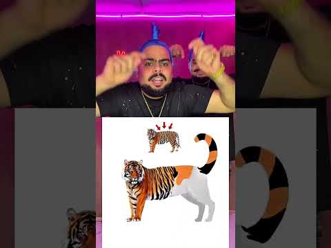 انا بتحدى اى حد يوقف الصوره دى شوف للاخر توام مصر شهاب وشاهر التوام النبطشى