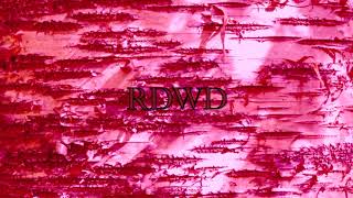 Free 2022 Lucki Type Beat Jetpack Prod. By Rdwd