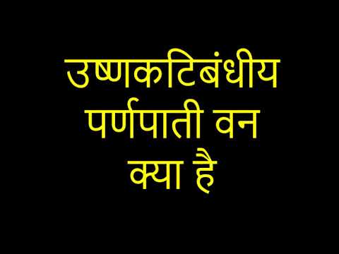 वीडियो: उपोष्णकटिबंधीय वन क्या है?