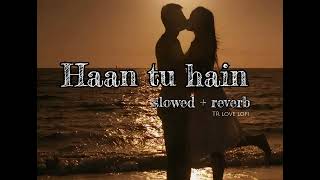 Haan Tu Hain Slowed And Reverb Jannat Emraan Hashmi Tr Love Lofi 