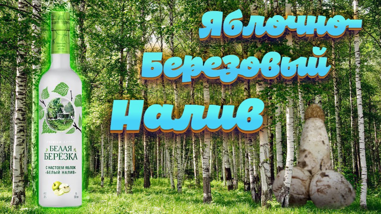 Premium Bitter БЕЛАЯ БЕРЁЗКА с настоем яблок «Белый Налив». Дегустация и история сорта. Женя Пьёт#38