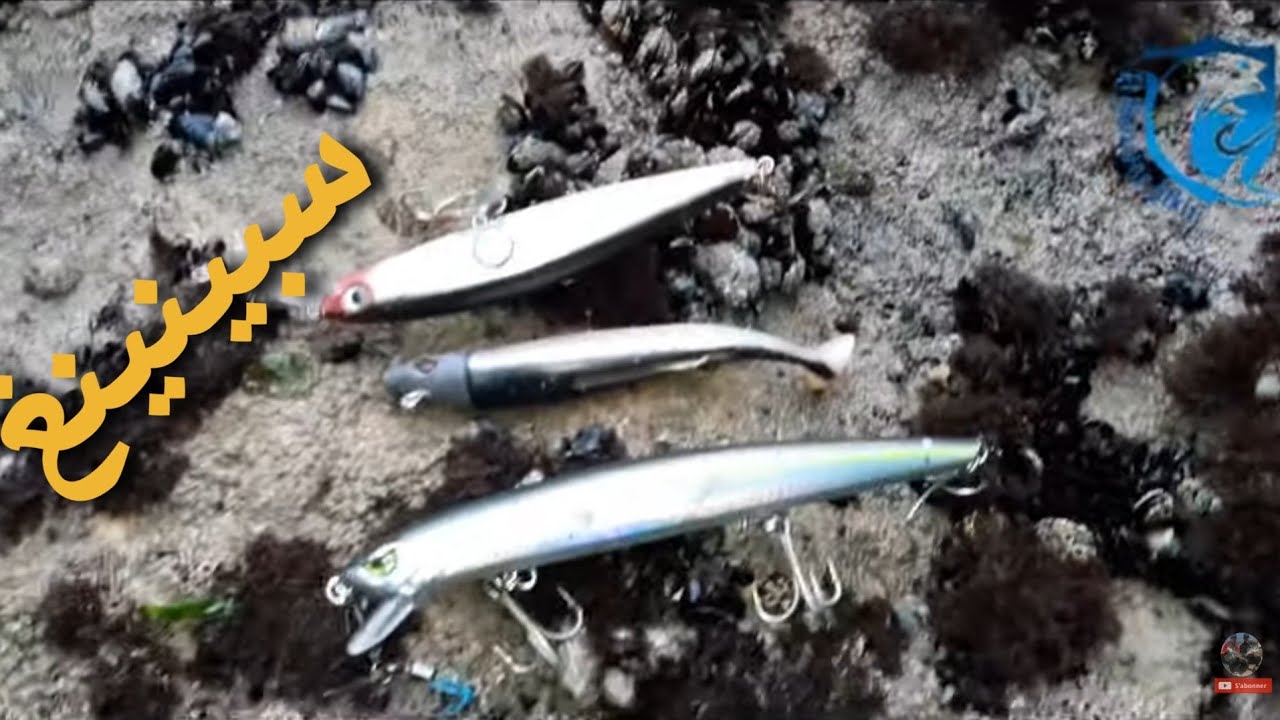 دائما الجديد مع الرايس لحسين هاد المرة معلومات مهمة حول تقنية السبينينغ إضافة إلى صيد الأخطبوط