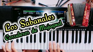 Video thumbnail of "Los Sabanales | Corraleros de Majagual Tutorial"