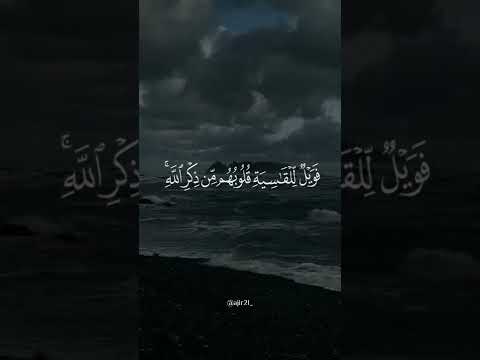 سورة الزمر محمد المحيسني 