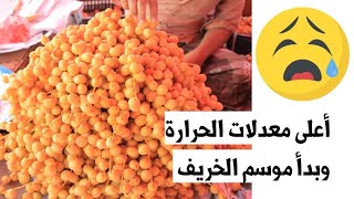 أعلى درجات الحرارة و موسم الخريف يبدأ في الحصاد حضرموت