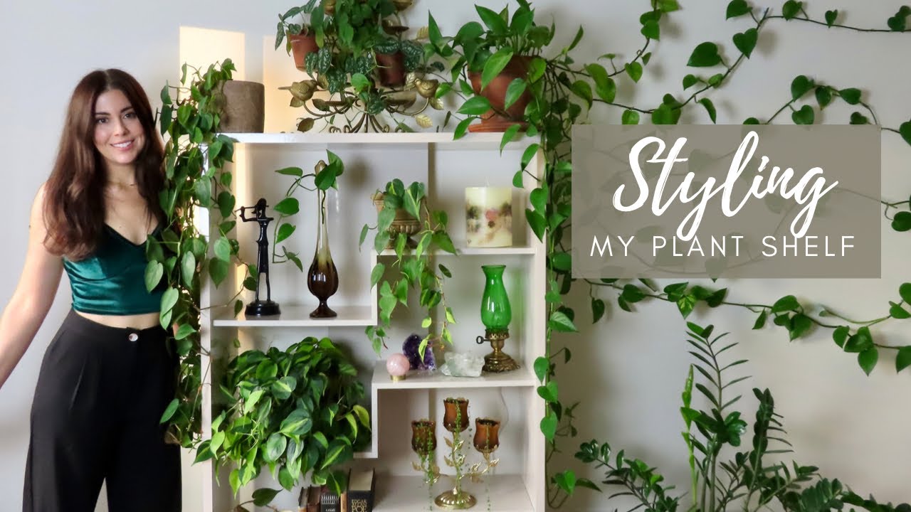 Styling My Plant Shelf | Houseplant Decor - YouTube