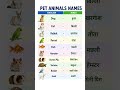 pet animals names #easyenglisheveryday #spokenenglish #vocabulary #ytshorts #shorts