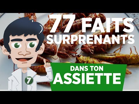 Vidéo: Est-ce que les chiens de service aboient?