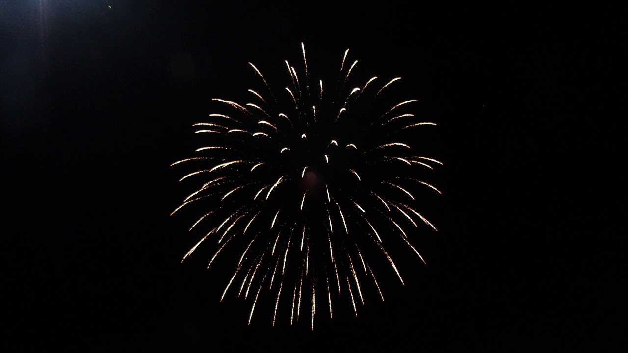 22036 6"   Brocade crown rising double brocade tail