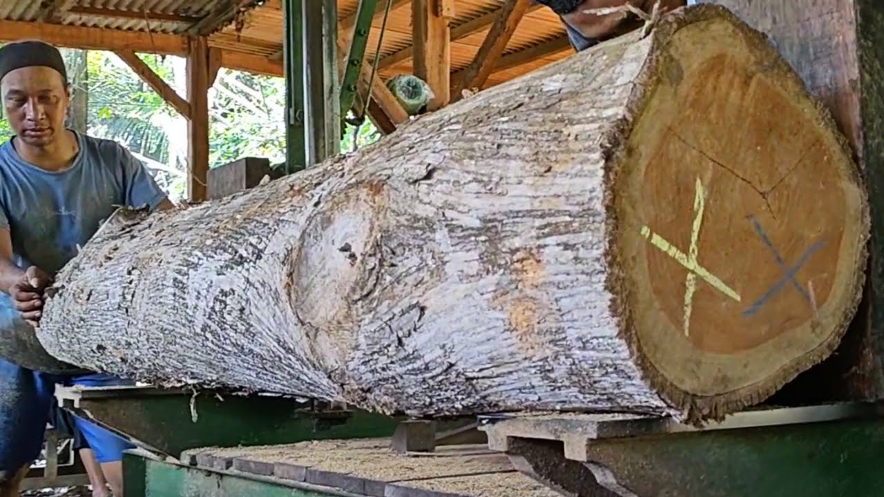 The amazing process of precision sawing of teak logs in a sawmill - YouTube