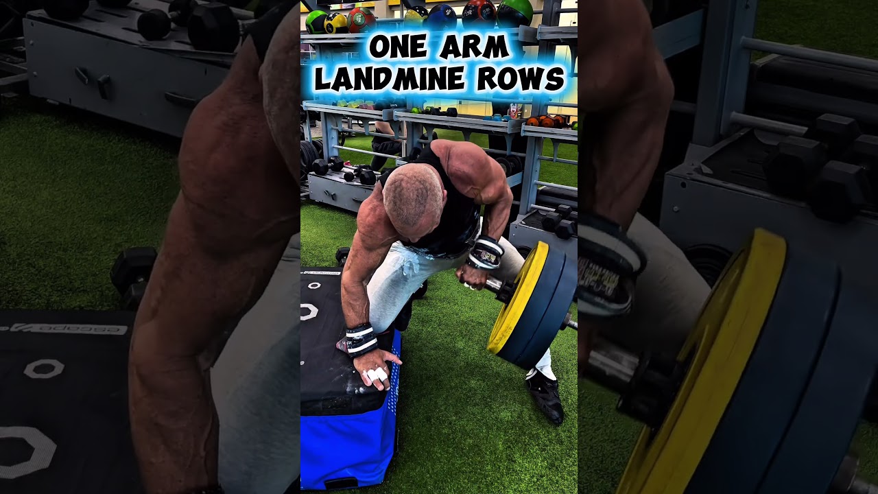 ONE ARM LANDMINE ROWS FOR BACK THICKNESS #landminerows #workout #motivation #back #workouttips