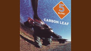 Watch Carbon Leaf So Why video