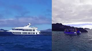 2017 Galapagos Adventures by TBL Trips 15 views 6 years ago 11 minutes, 23 seconds