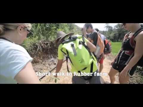 Cycling/Mountain Biking Adventure by Sabah's Trek Finder Tours!