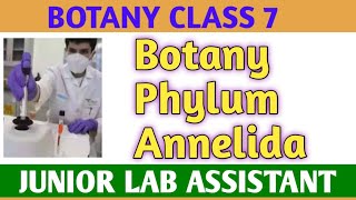 Junior lab assistant/Animal kingdom/Phylum Annelida
