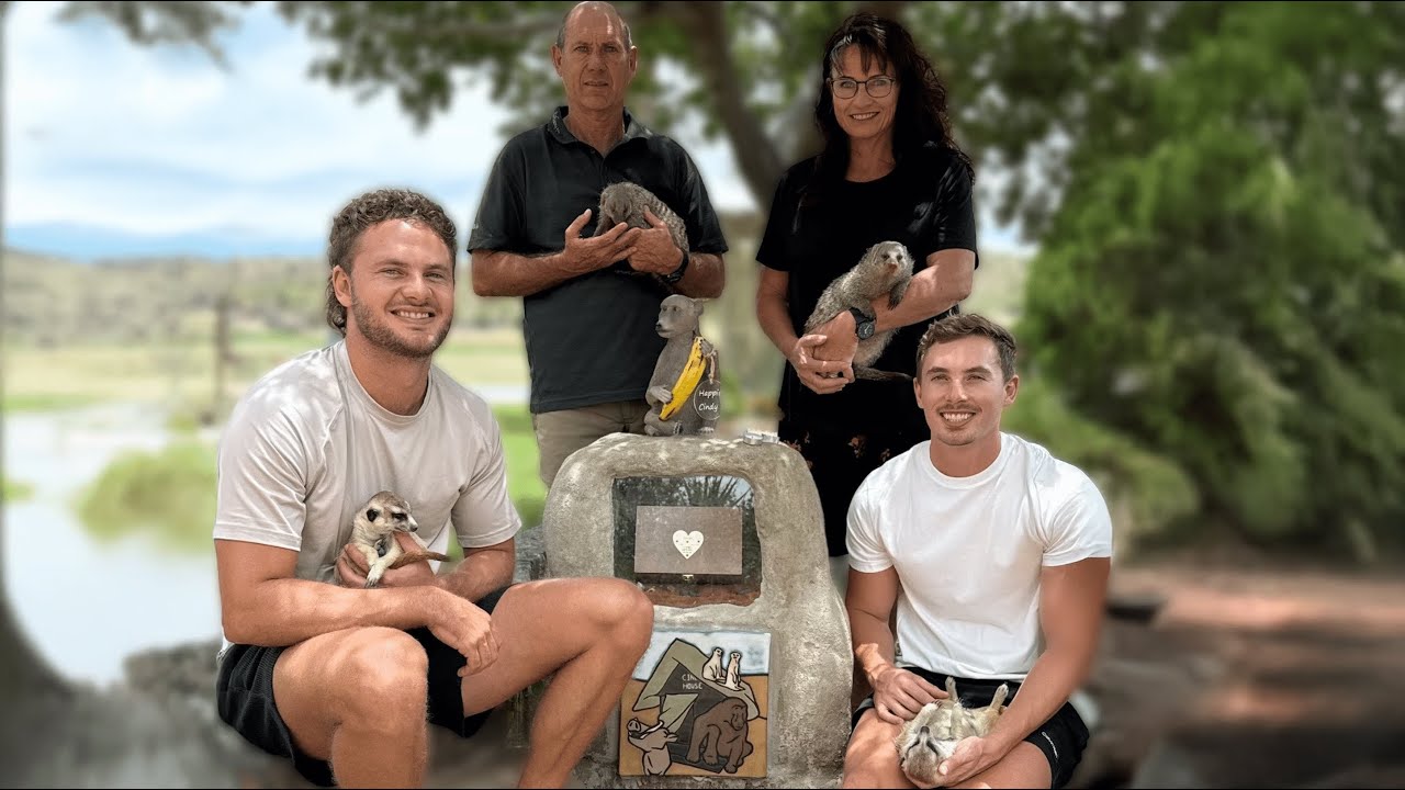 Building Cindy The Baboon’s Memorial