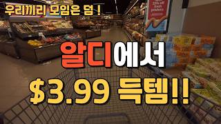 🇺🇸미국일상| 알디에서 $3.99 득템!! | 좋은날 힐링 포인트 !!