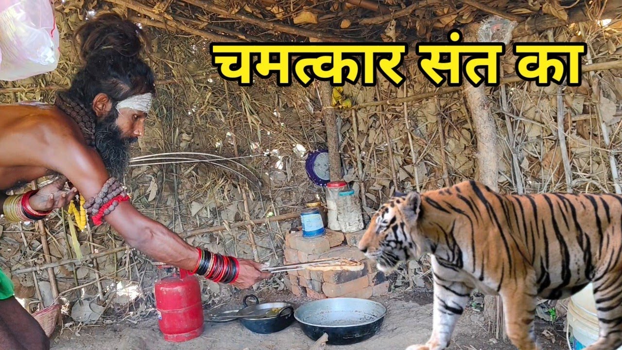 चित्रकूट के महान सिद्ध संत की कुटिया में माता ने किया चमत्कार भेजा बहुत सामान सामग्री