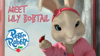 @OfficialPeterRabbit  Meet Lily Bobtail     | Character Best Bits | Cartoons for Kids