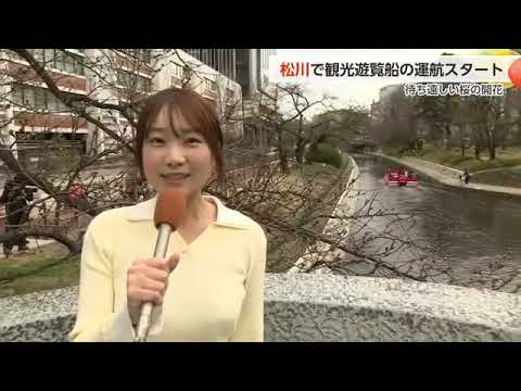 Cherry blossom season arrives along the Matsukawa River