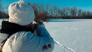 ОГО сколько тут следов. Охота на зайца 2024 Тропление зайца по свежему снегу