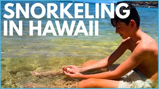 Fishy Friends: Snorkeling Adventure in Hawaii by Art For Kids Hub Family 98,941 views 10 months ago 7 minutes, 23 seconds