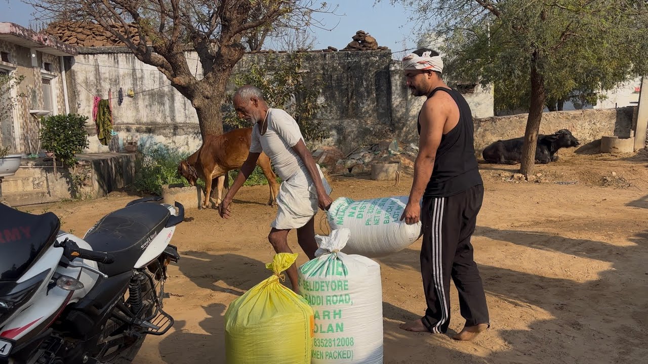 Holi ke din kaam | Happy Holi 2026 | Gajraj Meena | #viral #villagerlifestyle #vlog 