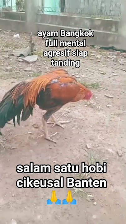 salam satu hobby sahabta #music