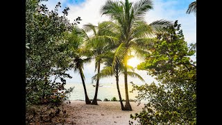 West Palm Beach to Tampa, Florida LIVE via Amtrak (March 4, 2021)