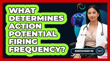 What Determines Action Potential Firing Frequency? - Neurotech Insight Pro