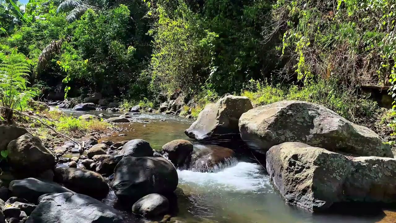 🌙 Instant Stress Relief | Gentle River Water ASMR For Sleeping
