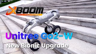 Unitree Go2 New Bionic Upgrade #unitree #robotics #ai