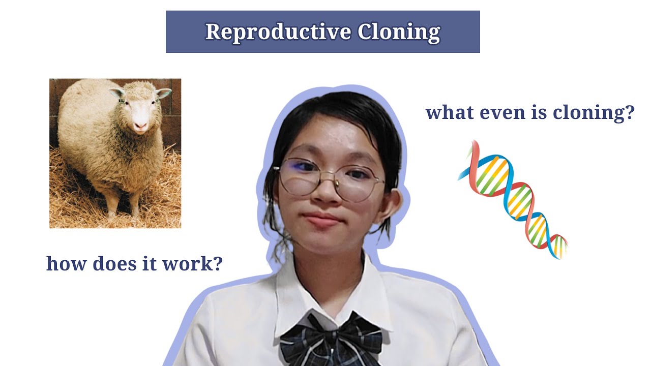 Breakthrough Junior Challenge 2022 | Life Science - Reproductive ...