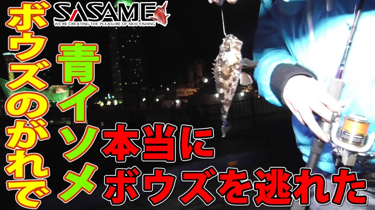 青イソメとボウズのがれでボウズを逃れる 17年釣り初め Youtube