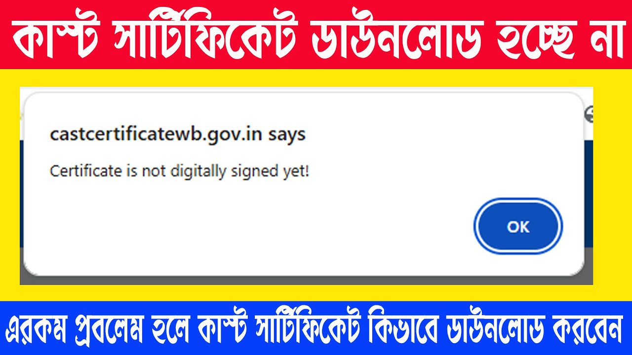 Certificate is not digitally signed yet