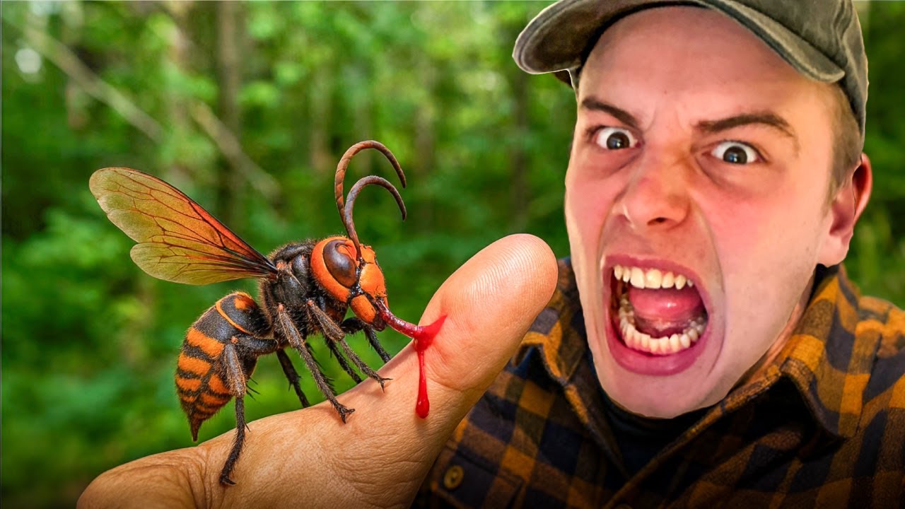 BLIVER STUKKET AF DANMARKS GIFTIGSTE DYR!