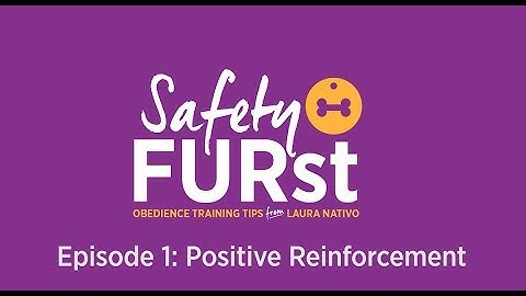 Positive Reinforcement and Clicker Training for Dogs | Safety FURst by Embrace Pet Insurance