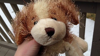 Webkinz Unboxing!! (Signature :D)