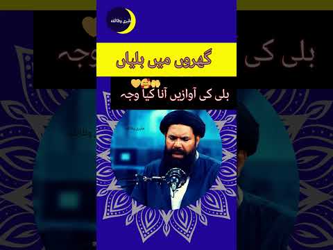 بلی کی آوازیں آنا کیا وجہ
